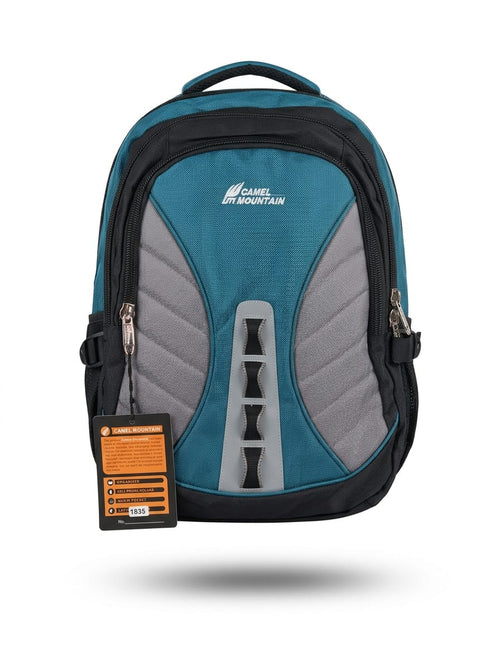 Camel Mountain Teal & Gray Laptop Backpack