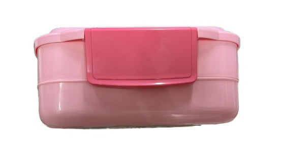 BRIGHT LUNCH BOX DOUBLE LAYER