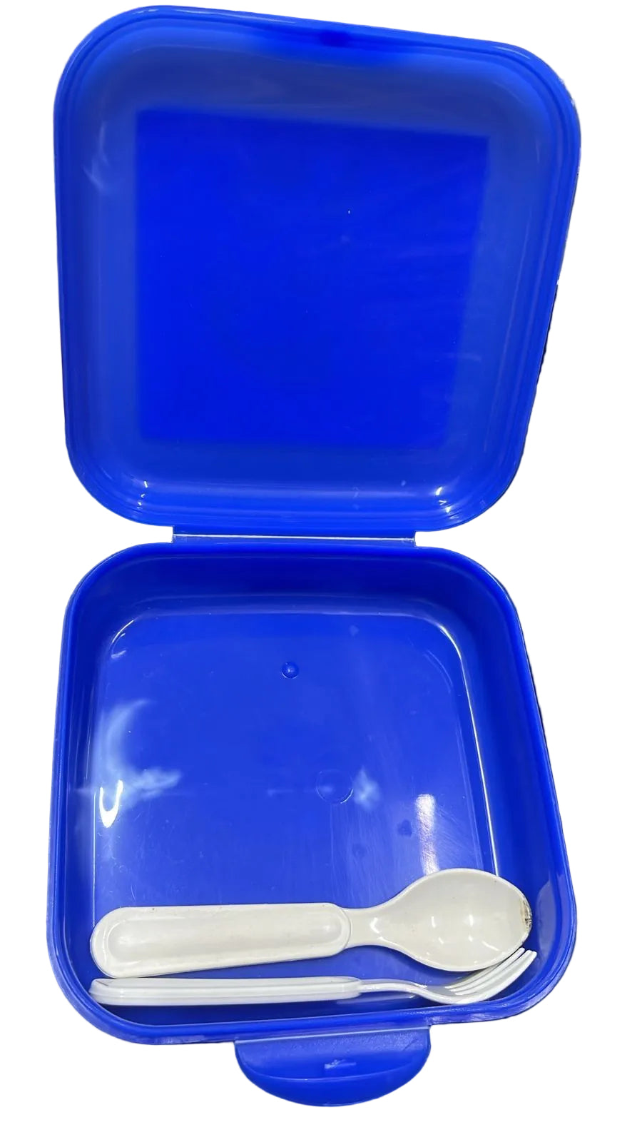 BHS FROZEN PRINCESS LUNCH BOX